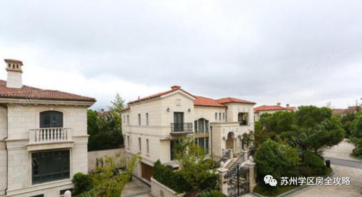 择校攻略|周边别墅成群的金鸡湖学校