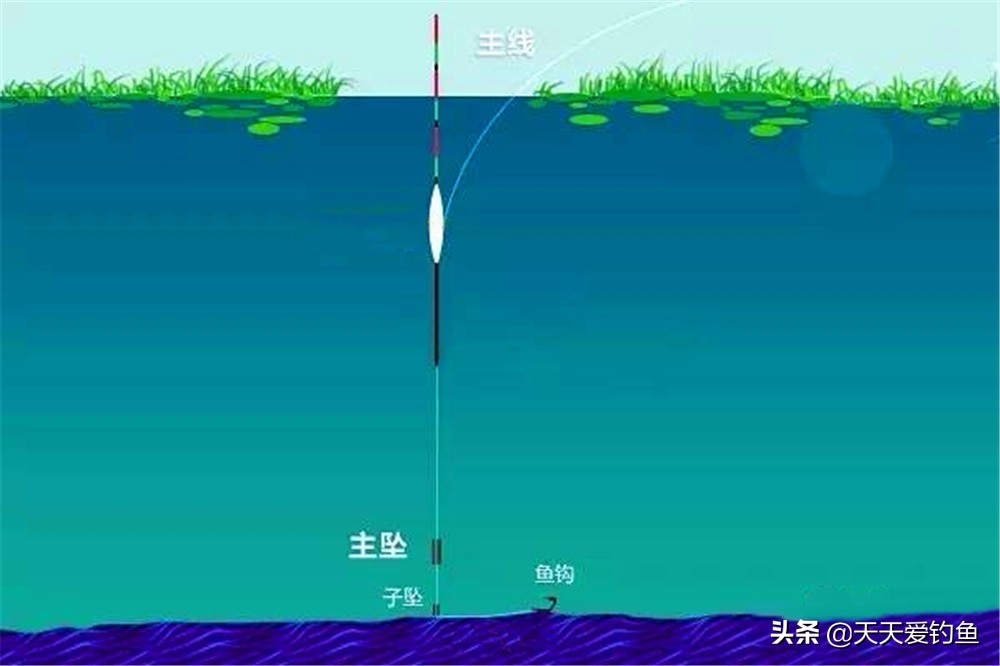 用虫饵钓鲫鱼必须用细线吗,用虫饵钓鱼再用饵料怎么办