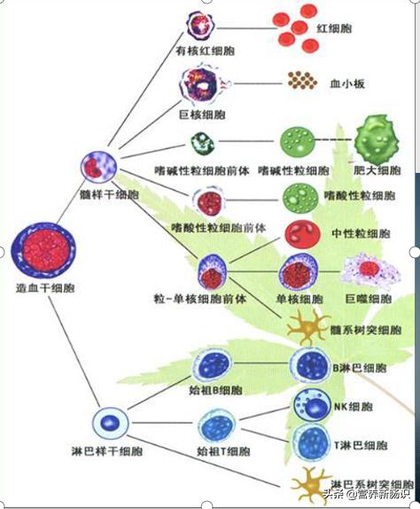当你生病了应怎样调节心态好,生病怎样调节心态和情绪