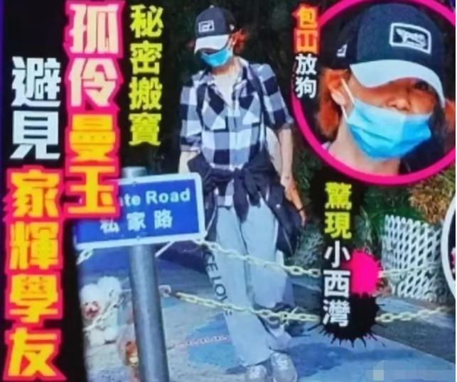 张曼玉多少片酬,张曼玉阮玲玉亏了多少钱