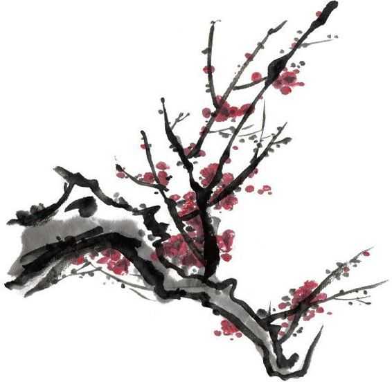 零基础梅花花朵入门画法,零基础学国画梅花入门步骤