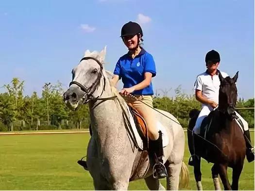 在魔都的花销,魔都上海的真实年收入