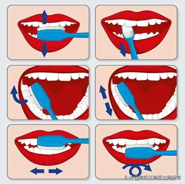 牙齿松动最好的办法解决,牙齿松动怎么办才能治好