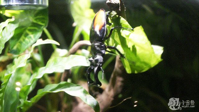 儿童玩的遛娃好去处,有动物的溜娃好去处