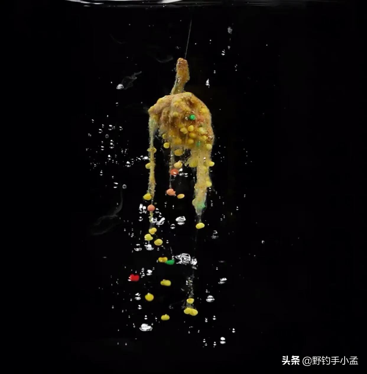 要想钓到大板鲫打窝必须用酒米,酒米拉饵夜钓