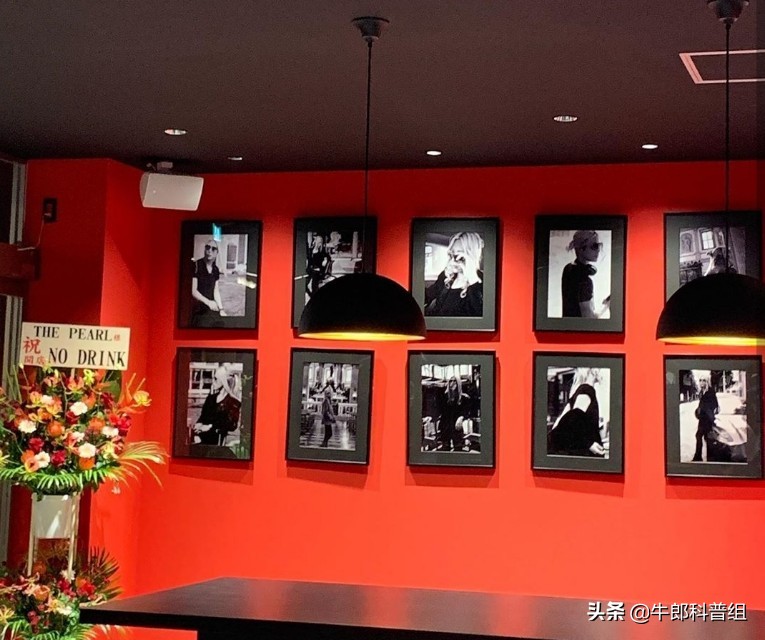 牛郎科普组,牛郎roland的店