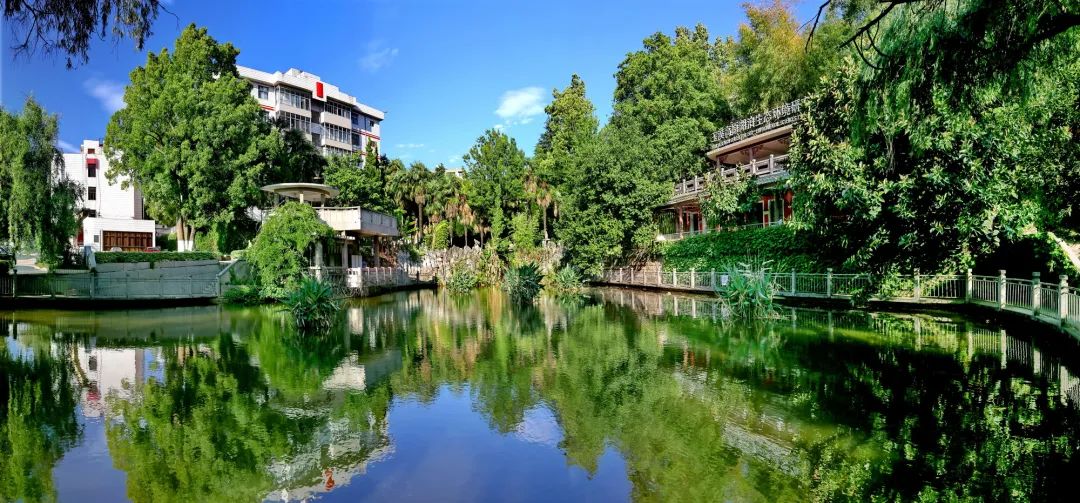 玉溪师范学院凤凰路134号乐队,玉溪师范学院的故事