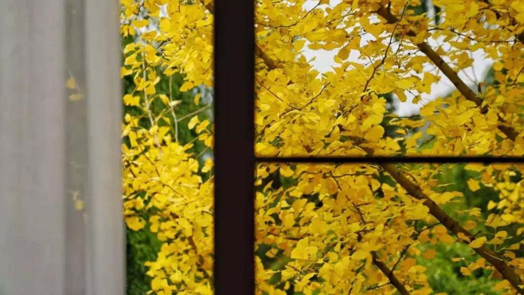 莫干山独一无二的酒店,莫干山像酒店一样的民宿