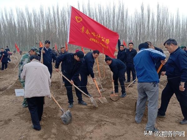 新疆公路防护绿色护栏网,公路养护部门春季养护新闻