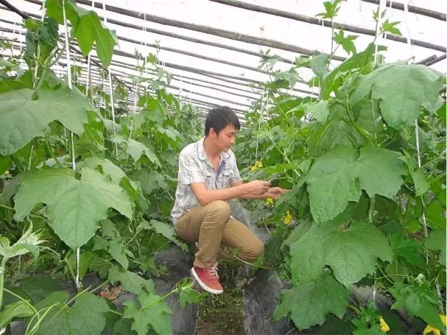 榆林家庭农场注册流程,网上注册家庭农场的全部流程