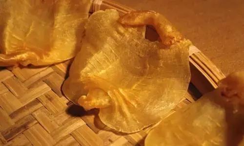 赤嘴鳘鱼胶,赤嘴鳘公鱼胶图片