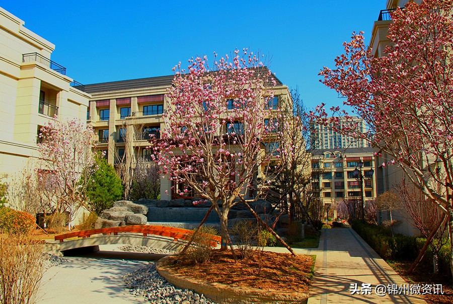 锦州金城天御样板间,锦州金城天御二期效果图