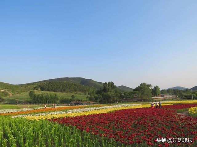 辽宁公布1030个美丽宜居村,辽宁1030个美丽宜居村盘锦