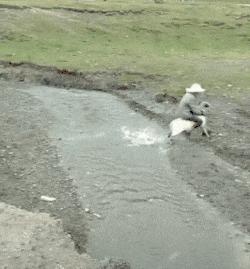 开心一刻|我有好多好多钱,不过它们都是一毛一毛的