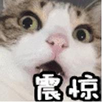 奥尔滨健康水怎么样啊,奥尔滨健康水真的假的