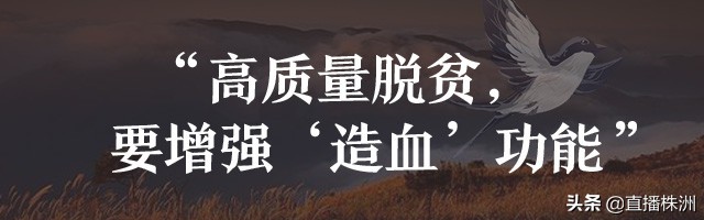 待到山花烂漫时诗文,待到山花烂漫时革命英烈