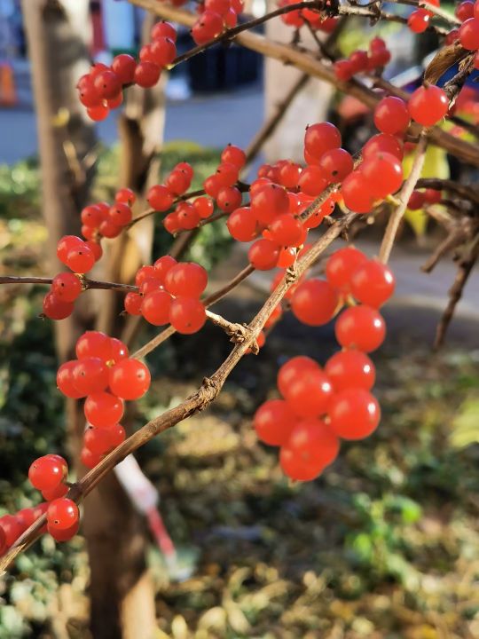 当你感觉到不公平的时候该怎么办,当你感到不公平又不好明说