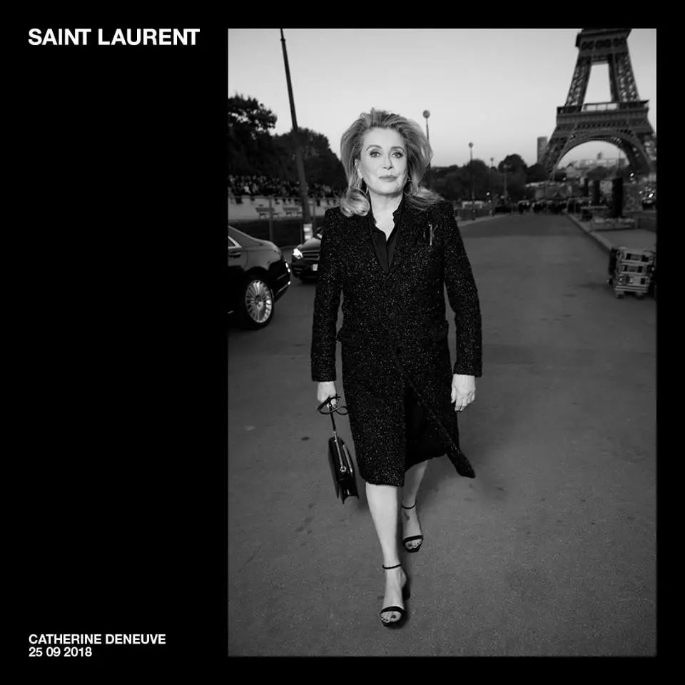 她是那个最会拍女人电影的王家卫的最新的王氏女郎