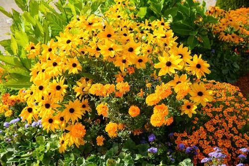 对人礼貌用语,对人称呼的礼貌