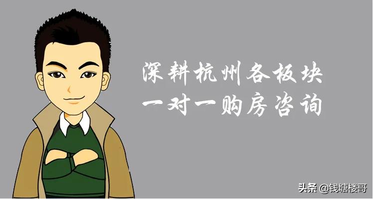 杭州桃源板块未来发展前景,杭州石桥板块前景