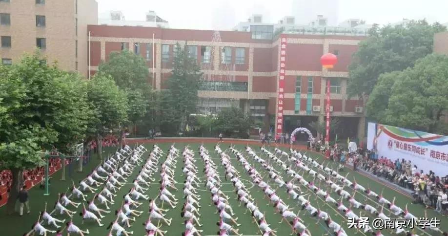 骄傲！游府西街小学又诞生了一个世界冠军