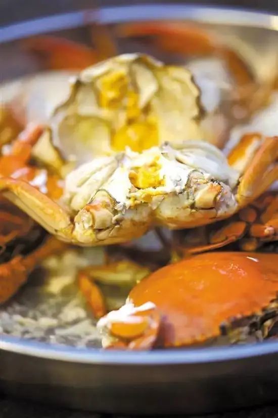 广东什么螃蟹好吃,广东什么螃蟹最多