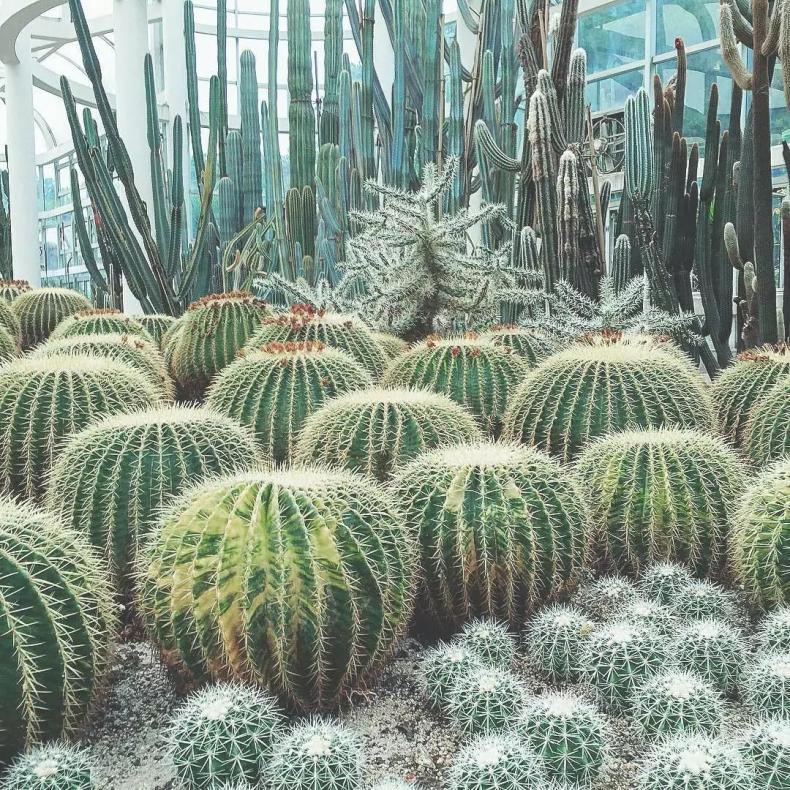 厦门抖音里的打卡地,厦门抖音推荐好地方