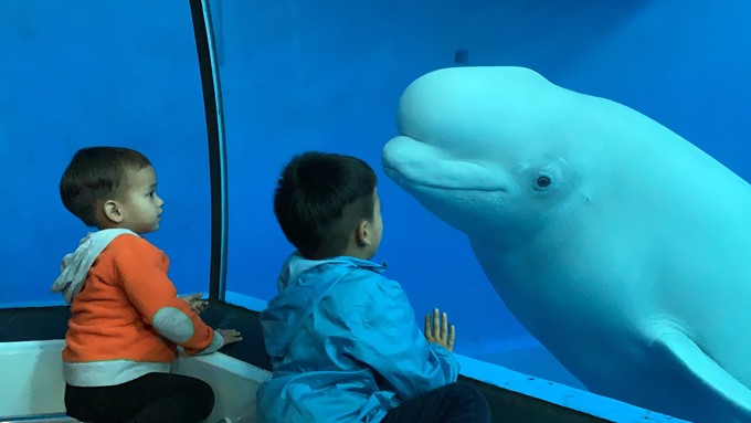 台湾环岛全攻略,台湾深度游玩攻略