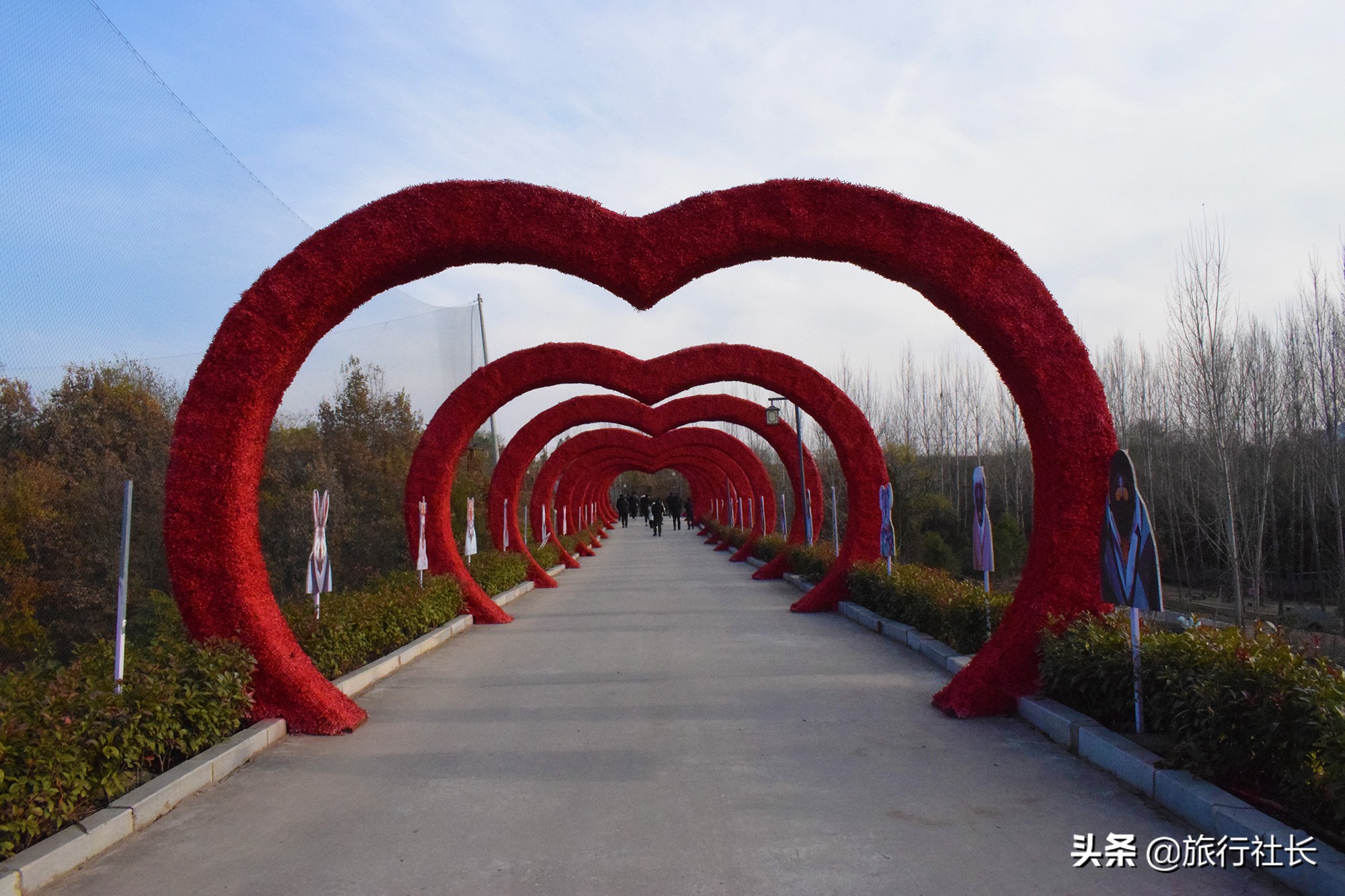 青花瓷孔雀长啥样,青花瓷孔雀在哪里