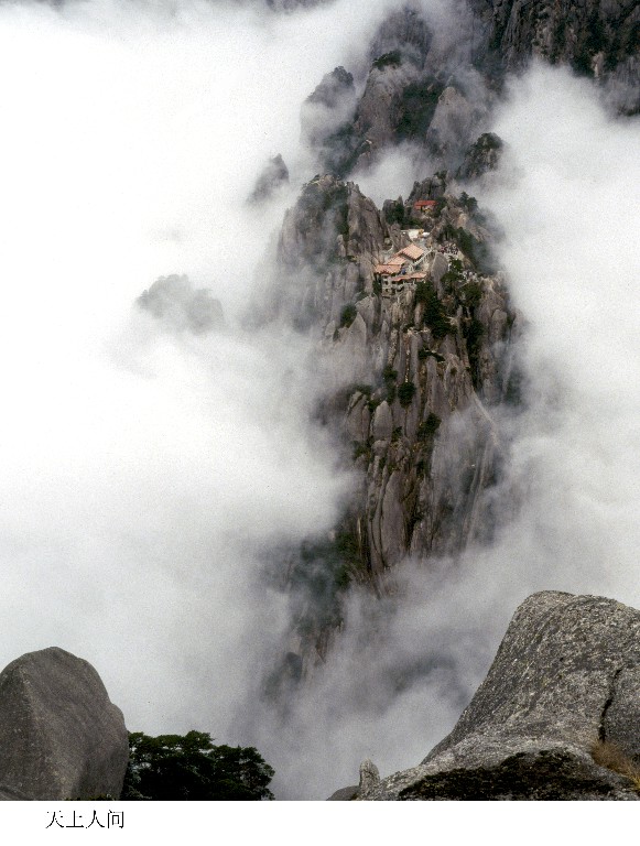 天都将“休眠”，莲花悄“待开”