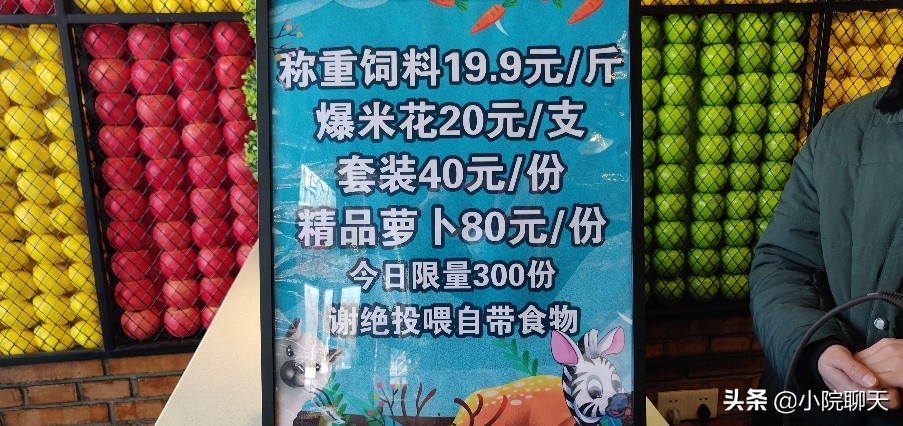北京大兴野生动物园游玩推荐攻略,北京大兴野生动物园最佳游览路线