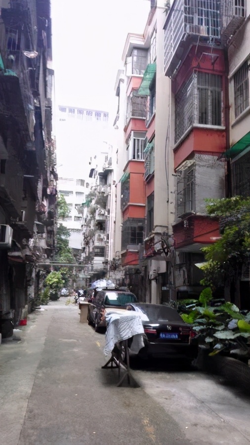 中星小学,广州市越秀区中星小学学位房