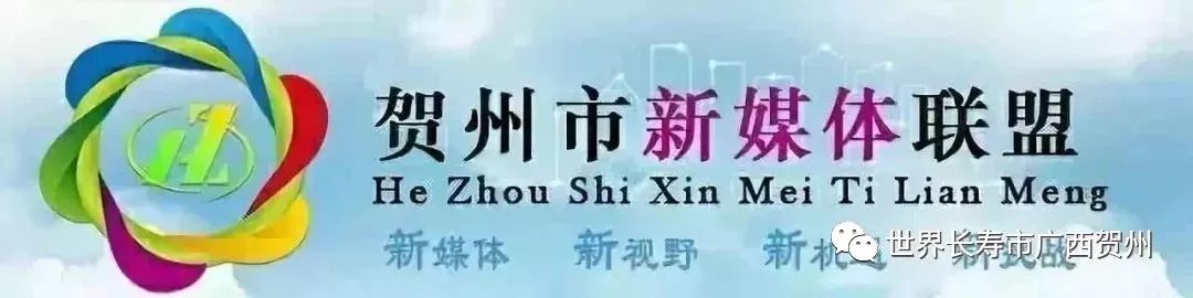 贺州东融杯青少年足球锦标赛,青少年足球锦标赛开赛