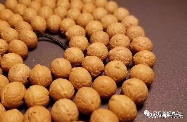 凤眼菩提视频教程,凤眼菩提最全面的讲解