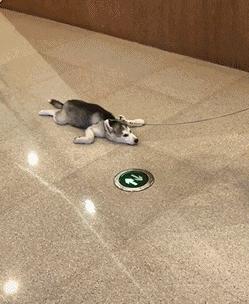 搞笑gif段子兄弟你把我吓到了,搞笑gif段子实在是猝不及防啊