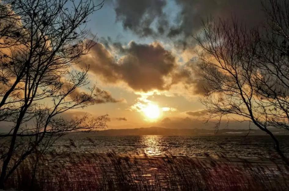 日本旅游攻略保姆级,日本保姆自由行攻略