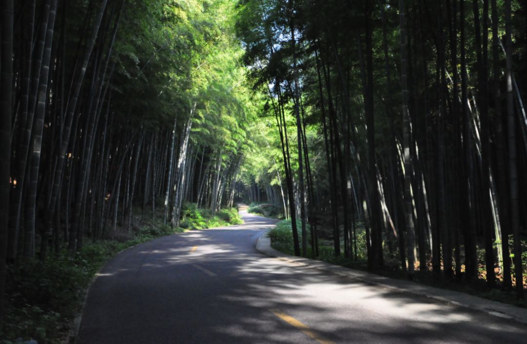 宜兴竹海玉女峰凌云阁,宜兴竹海登高望远视频
