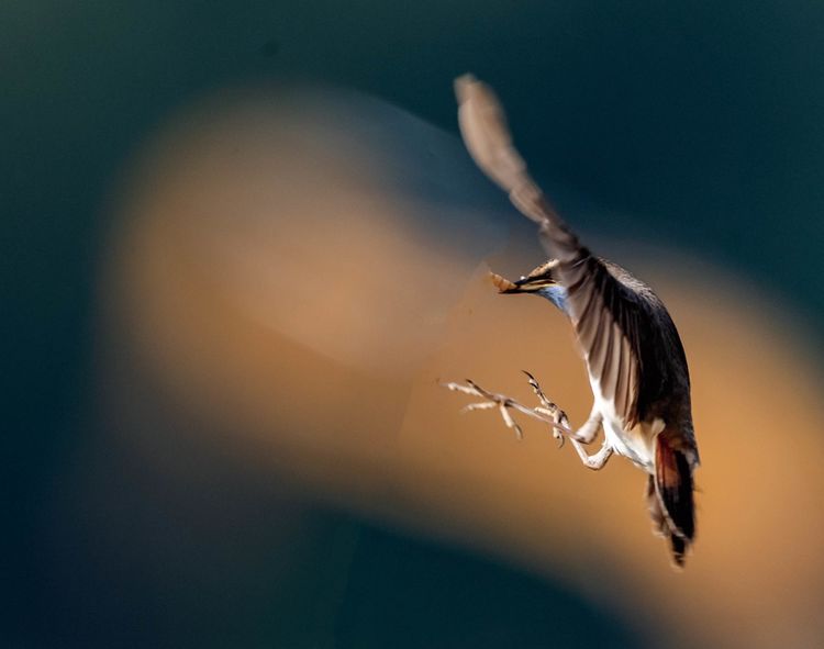 情人岛拍摄地点,情人岛航拍视频