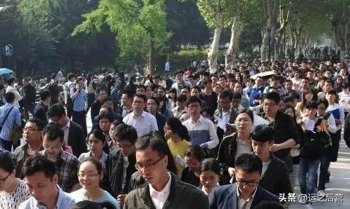 专科就业前景好最吃香的专业,就业率最高的十大专业排行