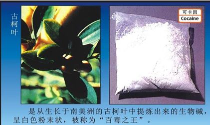 科目四禁毒知识题库,禁毒知识快问快答