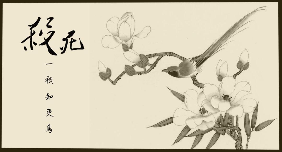 娣樺疂骞充环搴楅摵鎺ㄨ崘鍙戦グ,娣樺疂楗板搧灏忎紬绁炰粰搴楅摵鎺ㄨ崘鍝釜