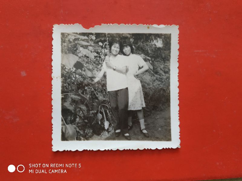 生活的烦恼第二季,生活的烦恼篇视频