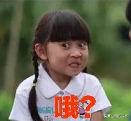 盘点轰动全港的四场“大场面婚礼”