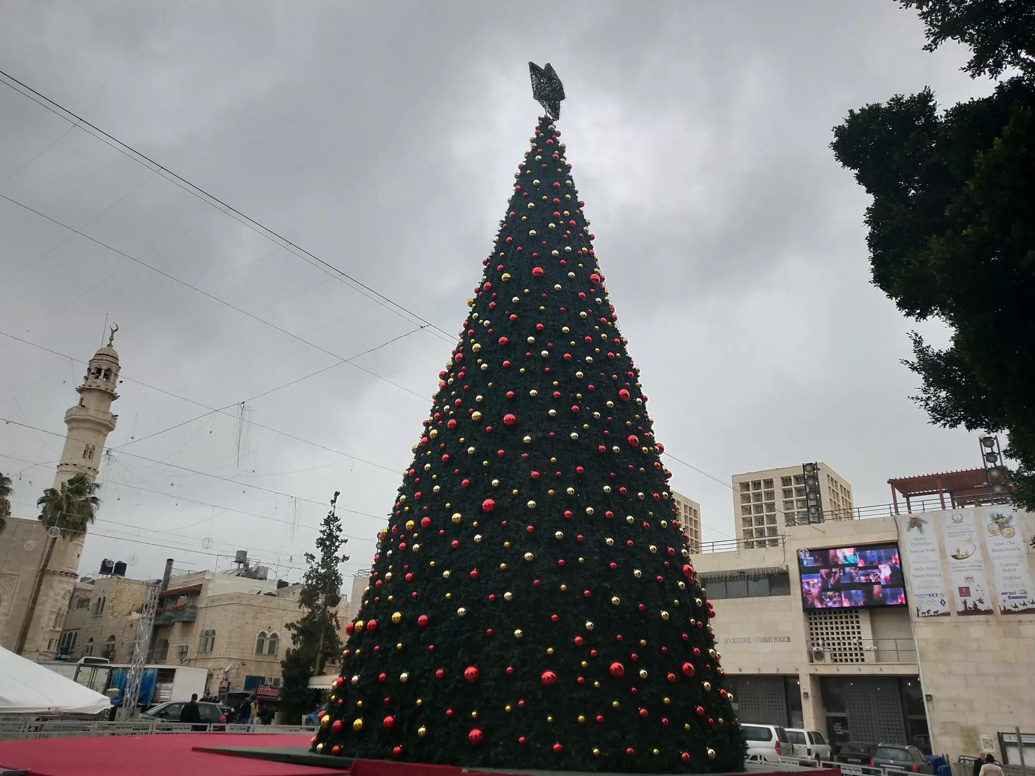 在以色列生活的巴勒斯坦人,以色列人在全世界的处境