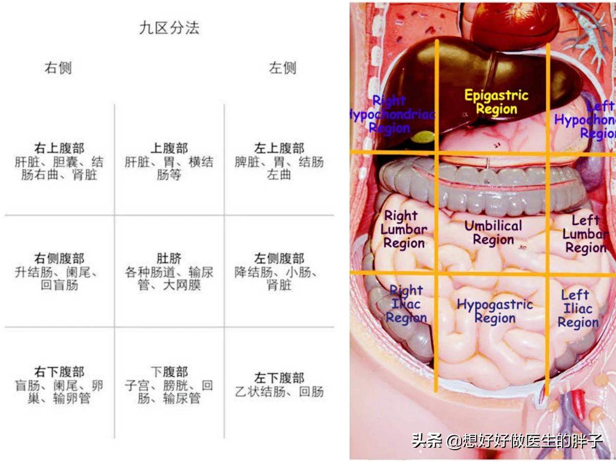 左侧腹部隐痛检查不出原因,肚脐眼左侧腹部隐痛做哪些检查