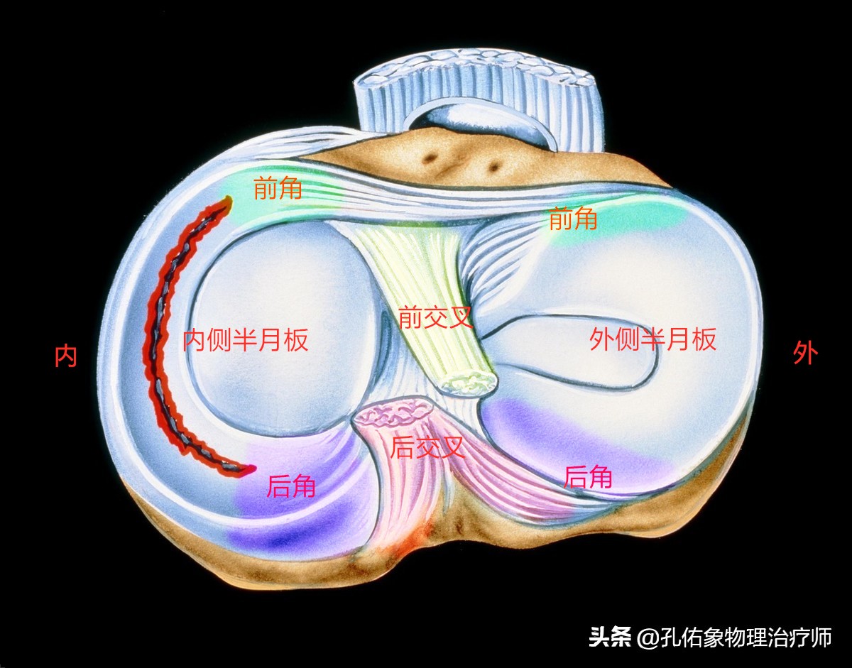 膝关节疼痛需不需要重视,膝盖疼痛不要忍