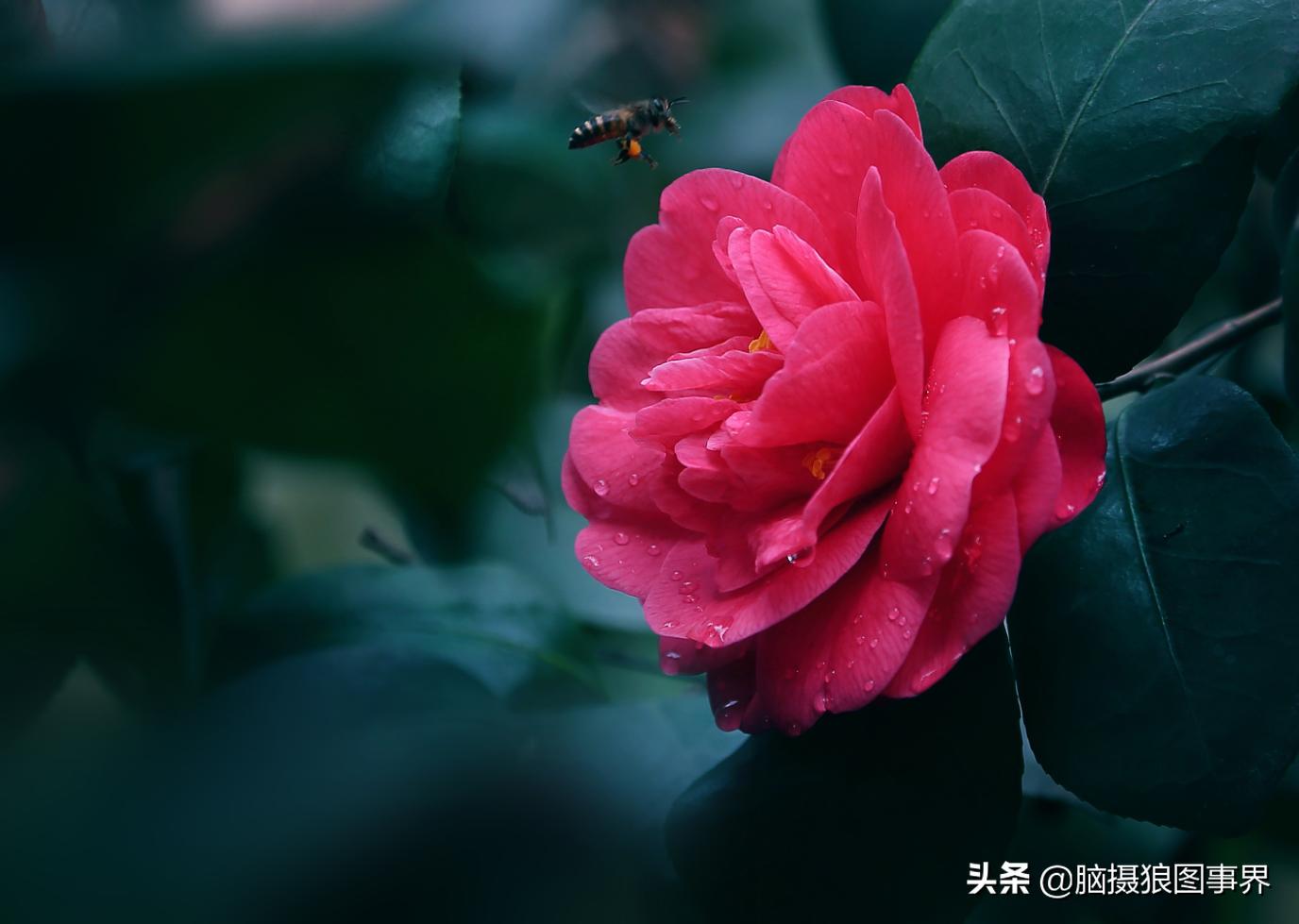 后期修图的技巧和方法,拍照后期修图技巧