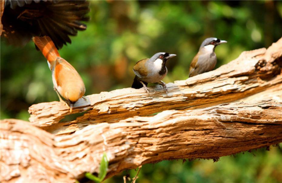 西安有什么好玩的娱乐项目,西安有什么好玩的室内娱乐