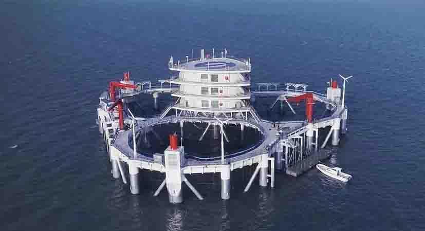 山东海洋集团借款,山东海洋集团2020年利润