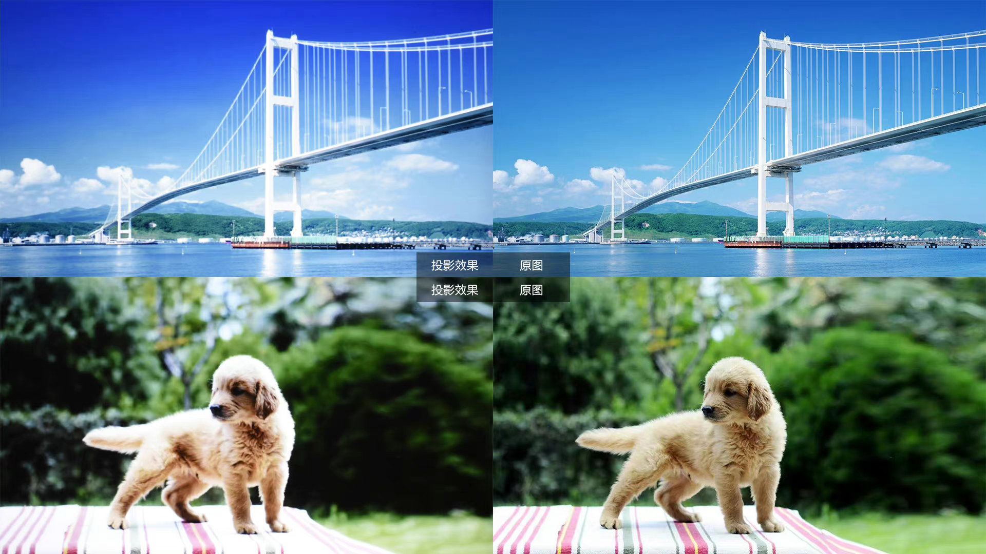 明基投影仪an7403与e540区别,明基投影仪e5401080p